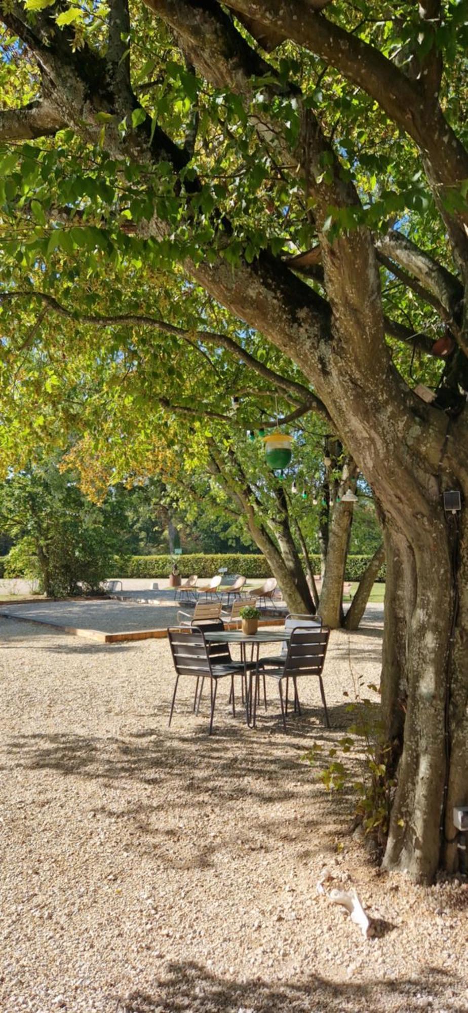 Domaine Du Cuiset - Gite Du Four A Pain Saint-André-sur-Vieux-Jonc Quarto foto